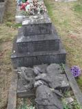 image of grave number 264254